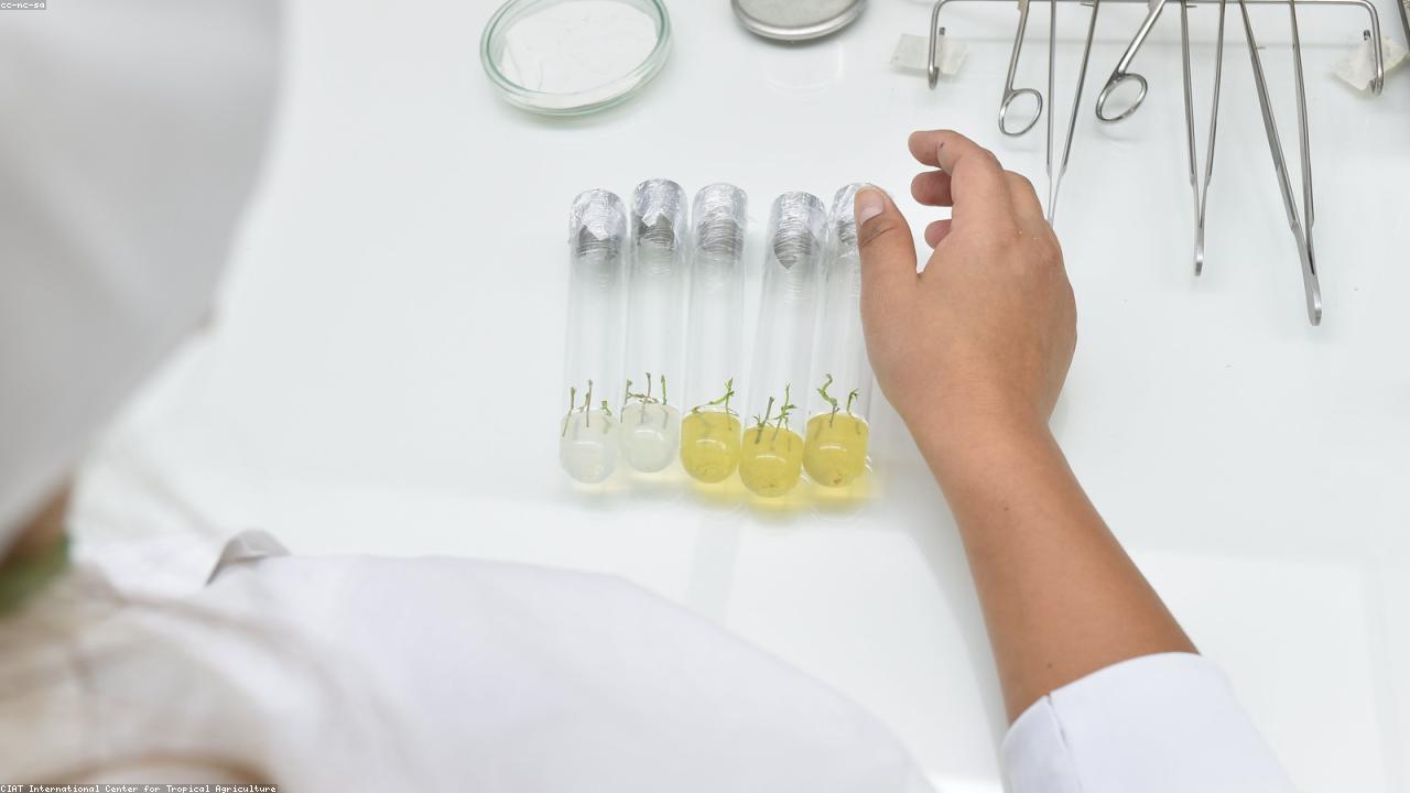 A/B Testing Your Emails: A Practical Framework