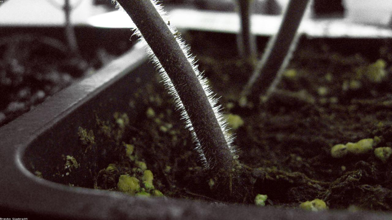 Lead Nurturing With Email Automation for B2B